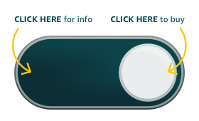 Amazon Dash Button, SEO Voice Search, Consumer Behavior