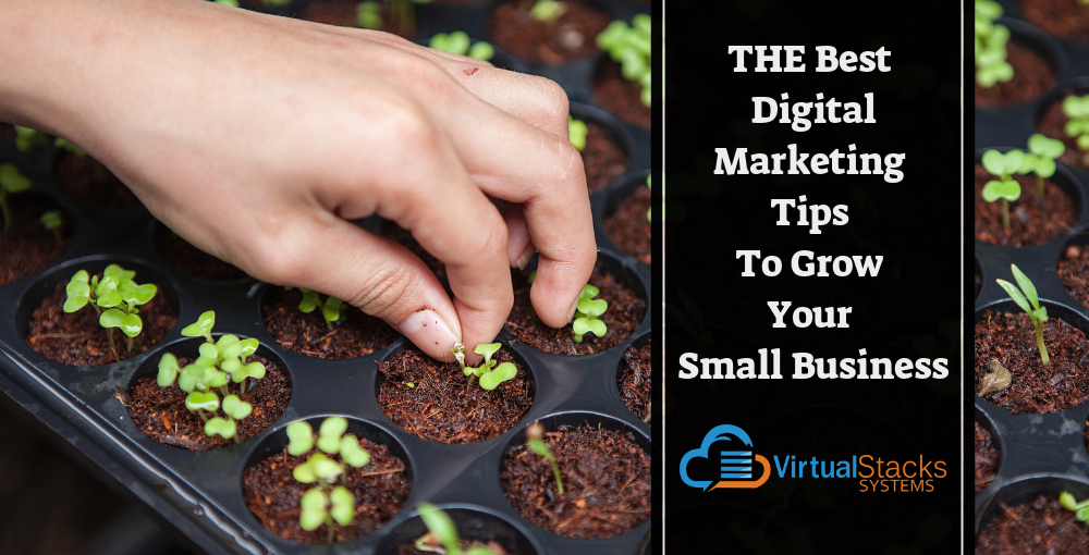Digital Marketing Tips, Small Business Tips, How to Build a Business