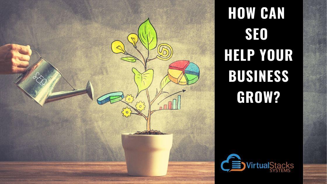 VS SEO Business Grow